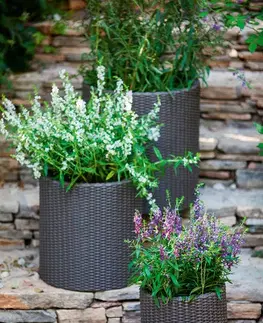 kvetináč CYLINDER - M - Keter