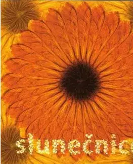 Lucie - Slunečnice CD - Lucie