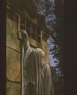 Dead Can Dance - Within The Realm Of A Dying Sun LP - Dead Can Dance