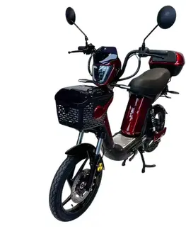 W-TEC E-Greta II 12Ah červená