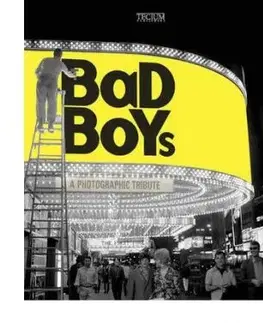Bad Boys - Birgit Krols