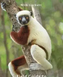 Field Guide to Mammals of Madagascar - Nick Garbutt