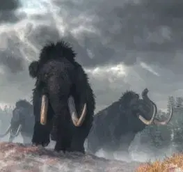 (B) 3D pohľadnica Facing the Mammoths