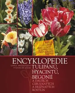 Encyklopedie tulipánů, hyacintů, begonií - Stanislav Vilím, Lenka Křesadlová