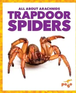 Trapdoor Spiders - Becca Becker