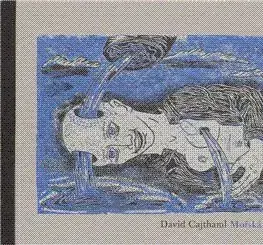 Mořská dívka - Martin Cajthalm