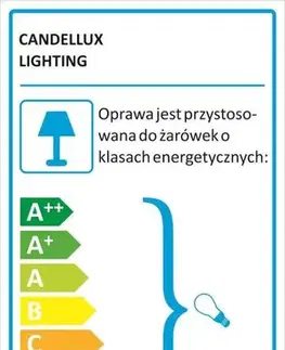 Stropná lampa Apeti Paksos G9 s LED žiarovkou v sivom prevedení
