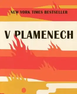 V plamenech - Megha Majumdar
