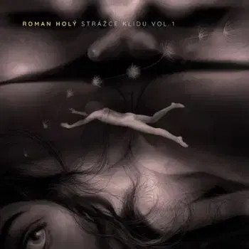 Holý Roman - Strážce klidu Vol.1 2LP - Roman Holý