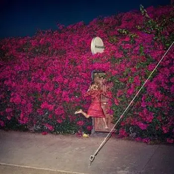 Feist - Pleasure LP - Feist