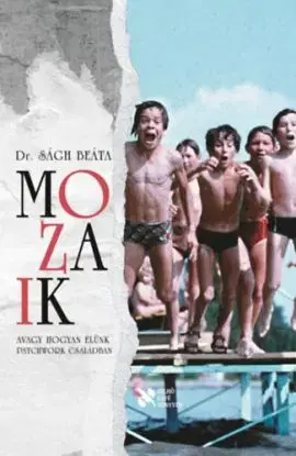 Mozaik - Avagy hogyan élünk patchwork családban - Beáta Ságh