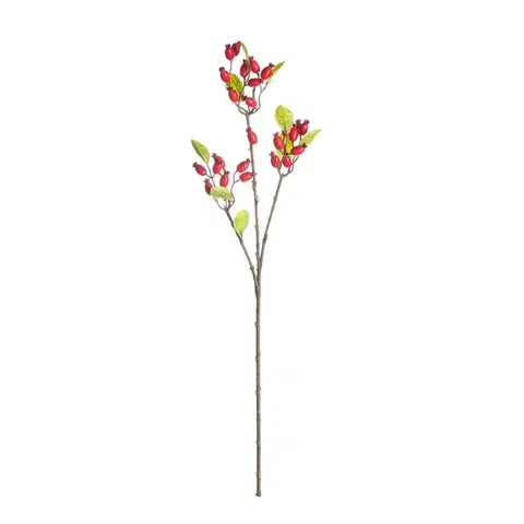 Dekoria Dekorácia z divokej ruže 70cm red, 10 x 10 x 70 cm