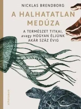 A halhatatlan medúza - Nicklas Brendborg