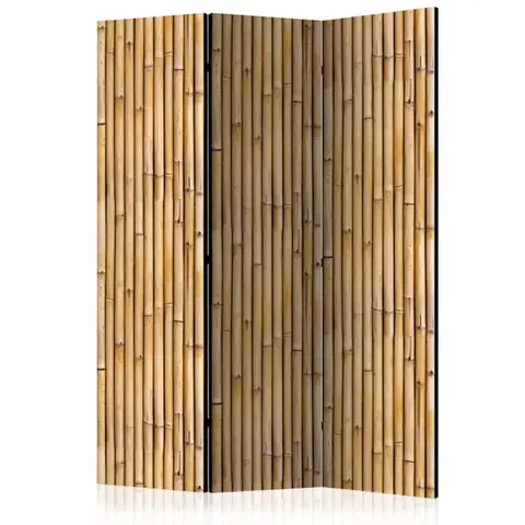 Paraván Amazonian Wall Dekorhome