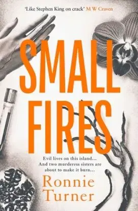 Small Fires - Ronnie Turner