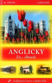 Anglicky Zn: Ihned - Marcheteau Michel, Jean-Pierre Berman, Michel Savio