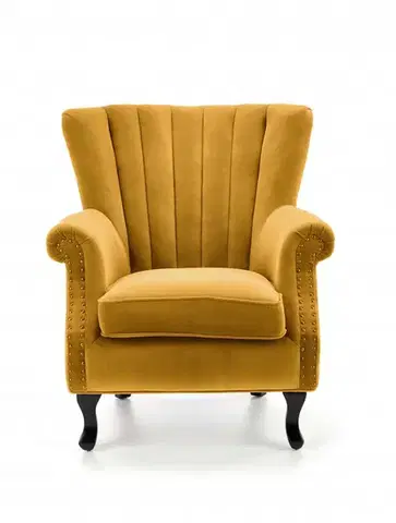 Kreslo TITAN Halmar
