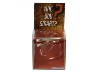 RecentToys Are you Smart - RecentToys 