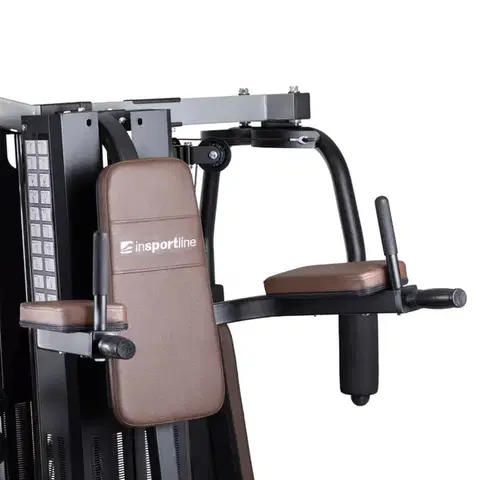 inSPORTline Profigym C300