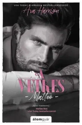 A vétkes - Matteo - Ava Harrison