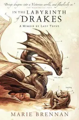In the Labyrinth of Drakes - A Natural History of Dragons 4 - Marie Brennan