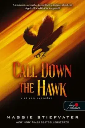 Álmodok-trilógia 1: Call Down the Hawk: A sólyom Nyomában - Maggie Stiefvater