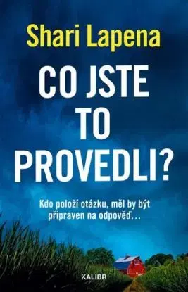 Co jste to provedli? - Shari Lapena