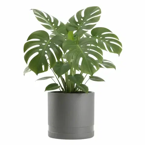 Kvetináč LUNA Cylinder 30,8 cm antracitový