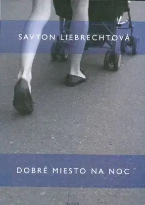Dobré miesto na noc - Savyon Liebrechtová