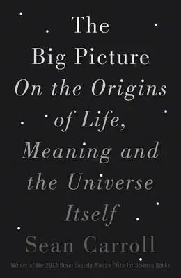 The Big Picture - Carroll Sean