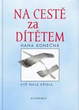 Na cestě za dítětem - Hana Konečná