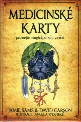 Medicinské karty - poznejte magickou sílu zvířat - David Carson, Jamie Sams