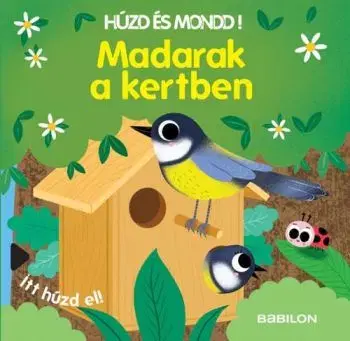 Húzd és mondd! 8: Madarak a kertben - Sonia Baretti