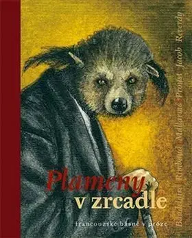 Plameny v zrcadle - Zdeněk Hron