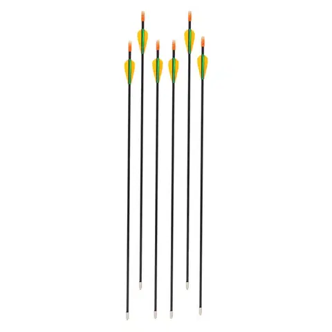 Laminátové šípy inSPORTline Petterson 28" 6ks