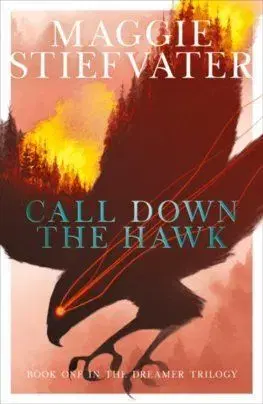 Call Down the Hawk: The Dreamer Trilogy 1 - Maggie Stiefvater