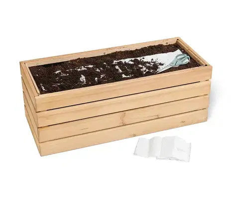 Výsevný koberec kvitnúca lúka