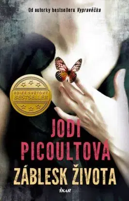 Záblesk života - Jodi Picoult