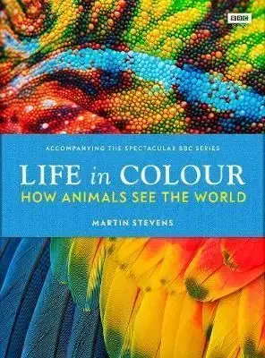 Life in Colour - Martin Stevens