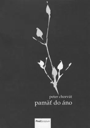 Pamäť do áno - Peter Chorvát