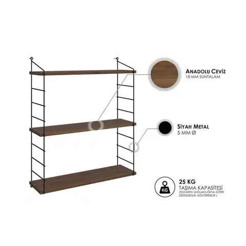 Nástenná polica Armoni 3'lü - Walnut