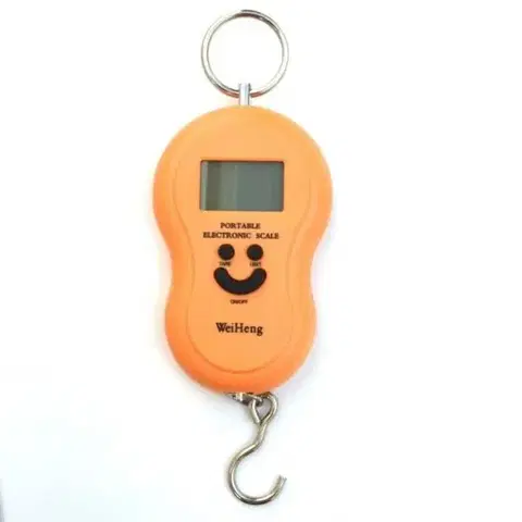 Kinekus Váha závesná mincier, nosnosť 50kg, DIGI
