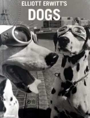 Elliott Erwitt'S Dog - Elliott Erwitt