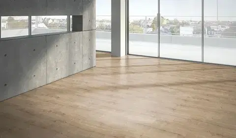 PARADOR Basic 400 Dub brúsený jemne matná štruktúra 1426542