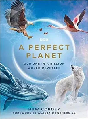 Perfect Planet - Huw Cordey