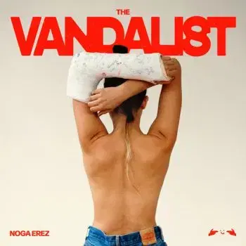 Erez Noga - The Vandalist (Black Ice) LP - Noga Erez