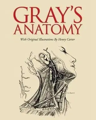 Grays Anatomy - Henry Gray, Henry Gray