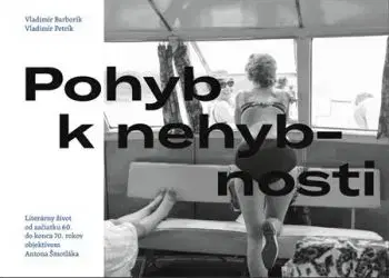 Pohyb k nehybnosti - Vladimír Barborík, Vladimír Petrík
