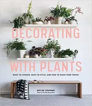 Decorating with Plants - Baylor Chapman