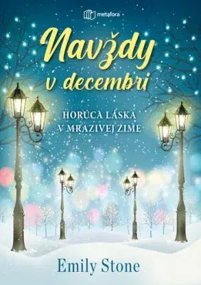 Navždy v decembri - Emily Stone
